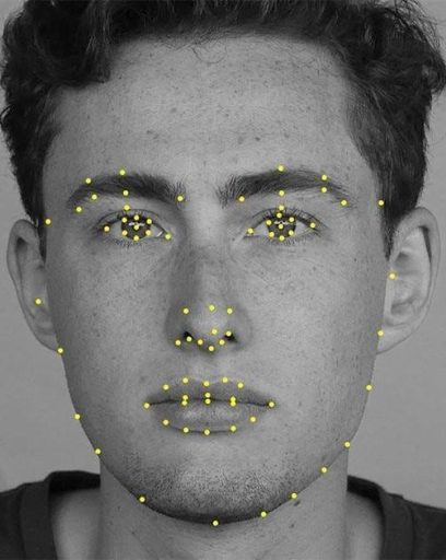 Facial Recognition_~2 Facial